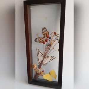 Vintage Shadowbox Butterfly and Floral Art Decor